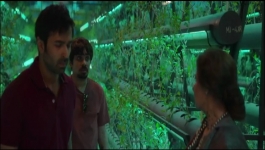 Saas Bahu Aur Flamingo - Season 01 Episode 03